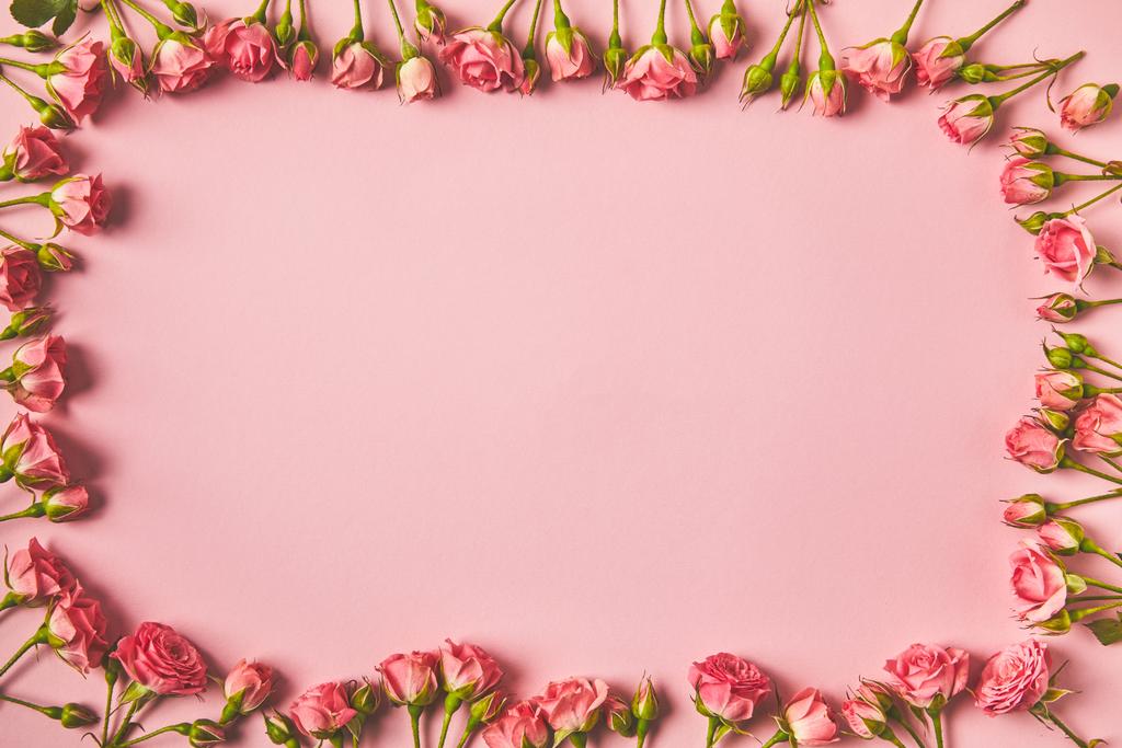 top view of frame made from beautiful pink roses and copy space on pink - Photo, Image