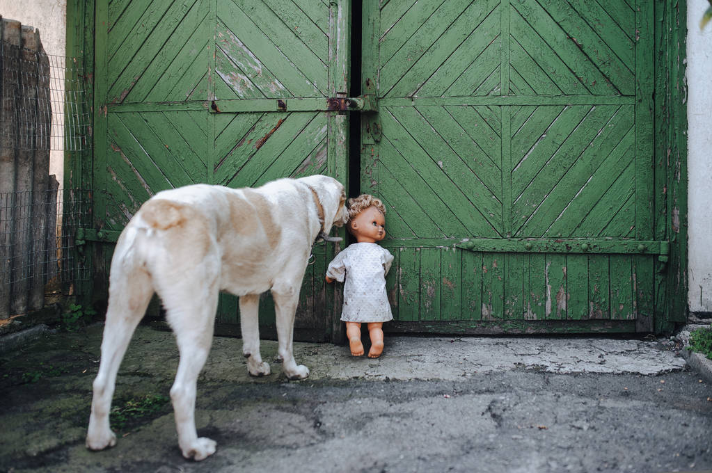 El perro se interesó en la vieja muñeca abandonada, que cobró vida. Alabai. Puerta antigua vintage
. - Foto, imagen