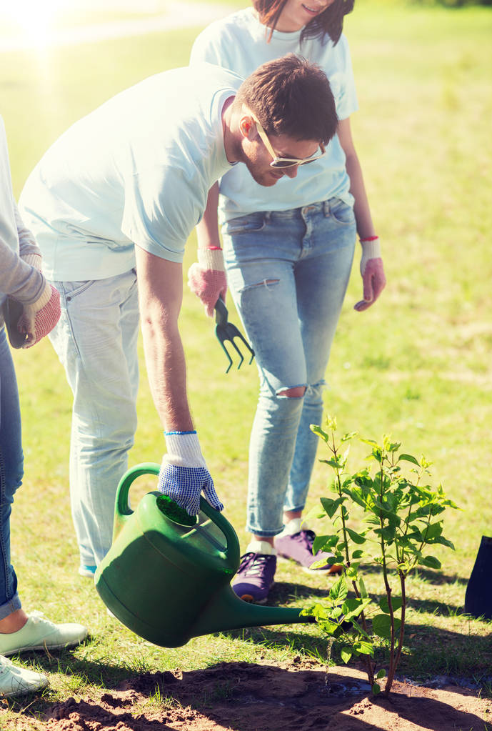 grupo de voluntarios plantando y regando árboles
 - Foto, imagen