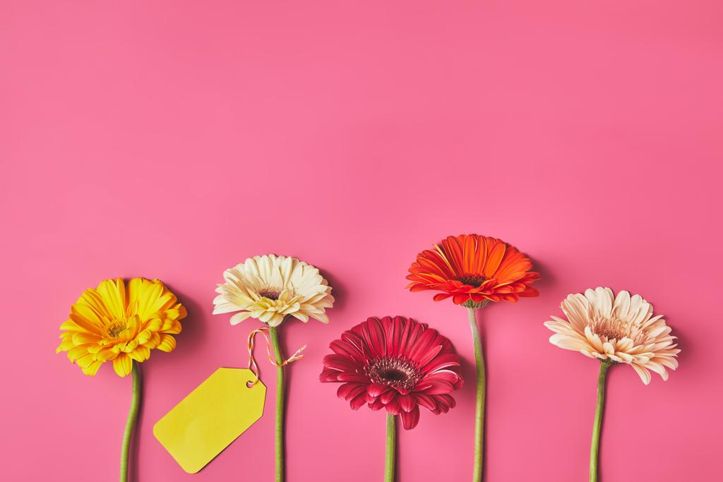Draufsicht auf bunte Gerbera-Blüten in Reihe mit leerem Anhänger auf rosa, Muttertagskonzept - Foto, Bild