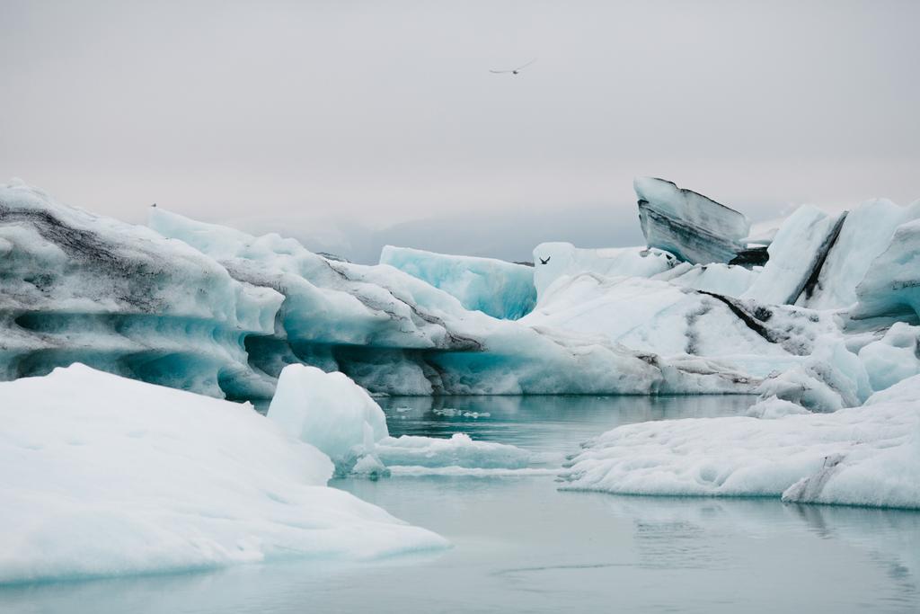 Icebergs - Foto, imagen