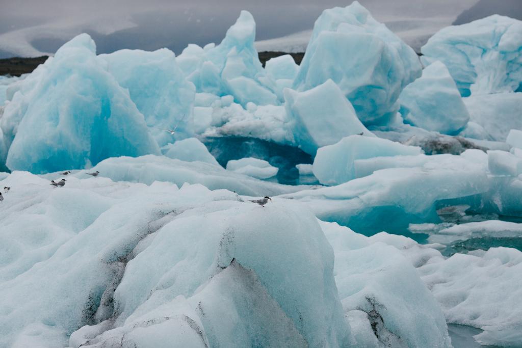modré ledovce - Fotografie, Obrázek