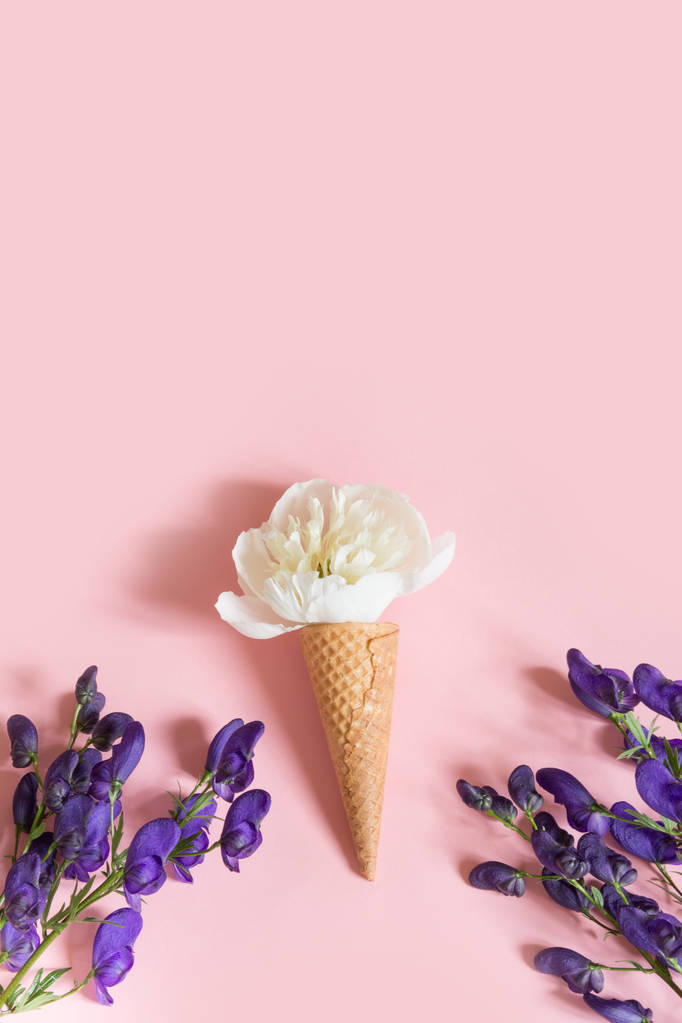 Bílá Pivoňka květ v oplatkovém kornoutku a ultra violet aconitum na růžovém pozadí. Letní koncept. - Fotografie, Obrázek