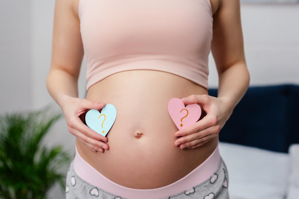 Oříznout záběr těhotné ženy držící modré a růžové srdce s otazníky - Fotografie, Obrázek