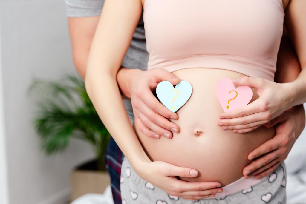 cropped shot of man hugging pregnant woman and holding blue and pink hearts with question marks - Photo, Image
