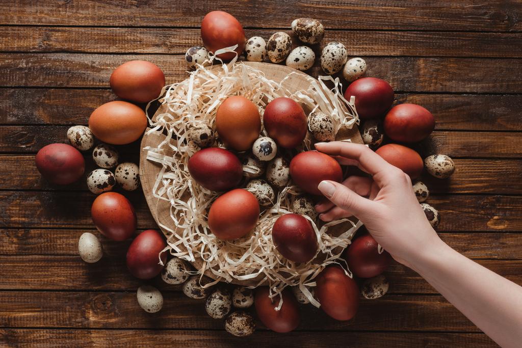 oříznutý pohled ruky s velikonoční vajíčka na průřezu kmene stromu na pozadí - Fotografie, Obrázek