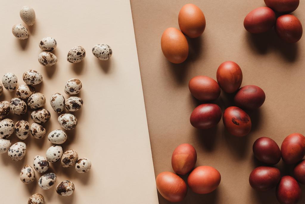 bıldırcın yumurtası ve boyalı Paskalya yumurtaları Üstten Görünüm   - Fotoğraf, Görsel