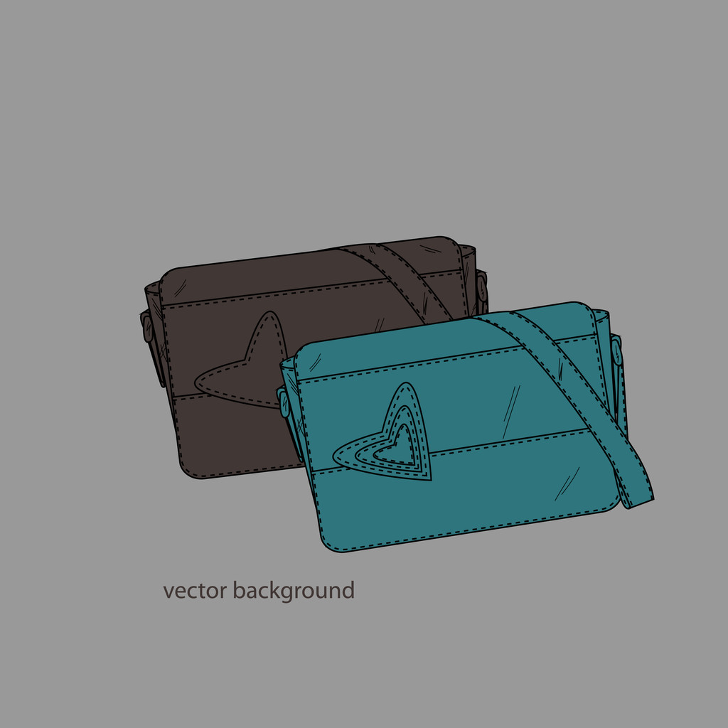 vektoros illusztráció egy női táskák. - Vektor, kép