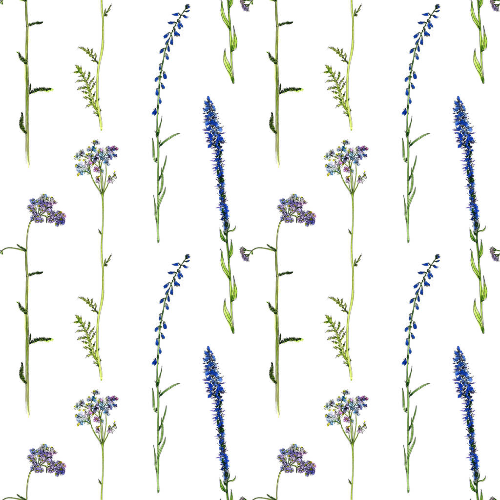 Patrón sin costura con acuarela dibujo flores y plantas
 - Foto, imagen