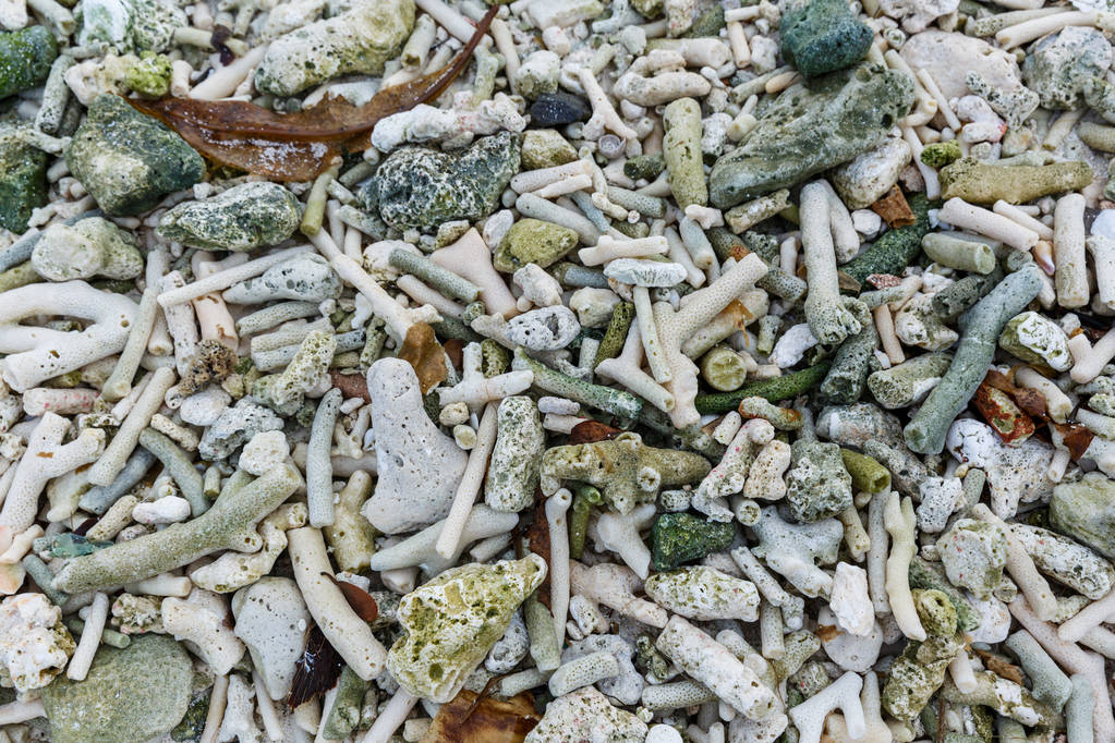 Pedras marinhas
 - Foto, Imagem