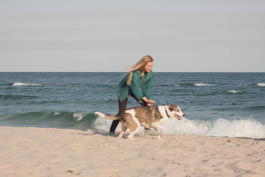 夏の晴れた日のビーチで犬を持つ若い女性 - 写真・画像
