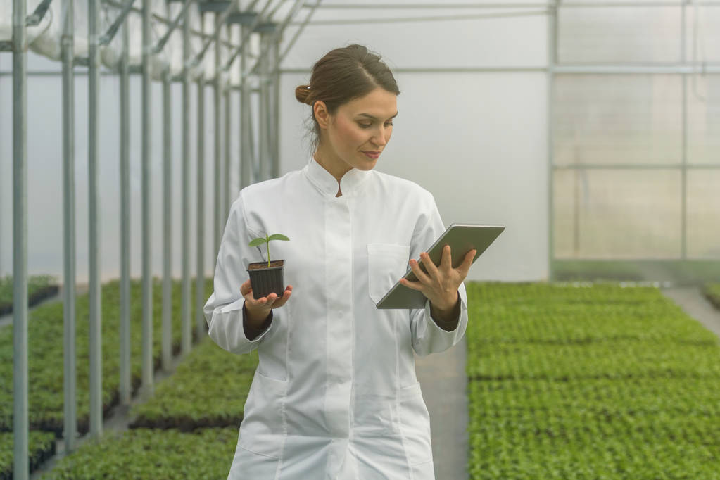Greenhouse Seedlings Growth. Female Agricultural Engineer using tablet  - Photo, Image