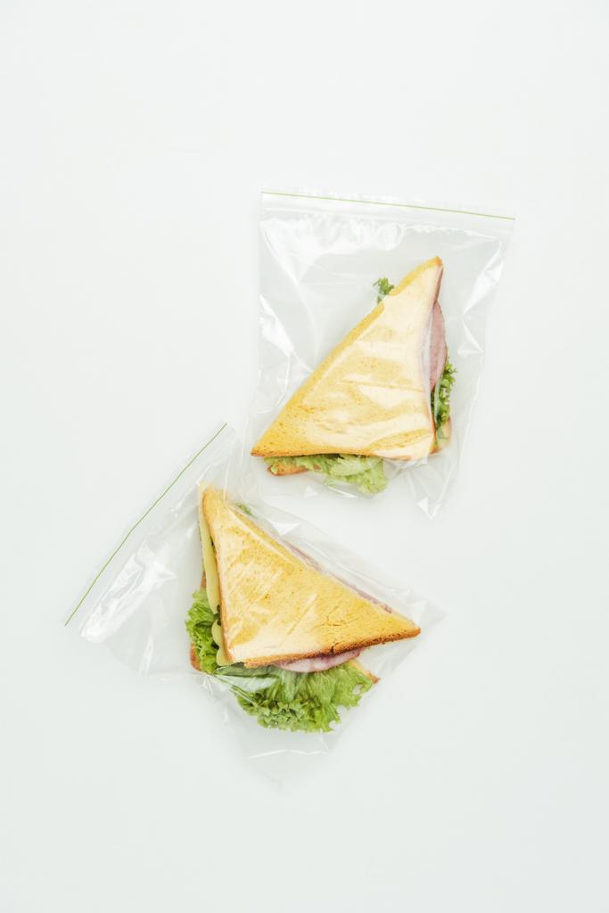 白で隔離ジップロック袋に 2 つのサンドイッチの平面図 - 写真・画像