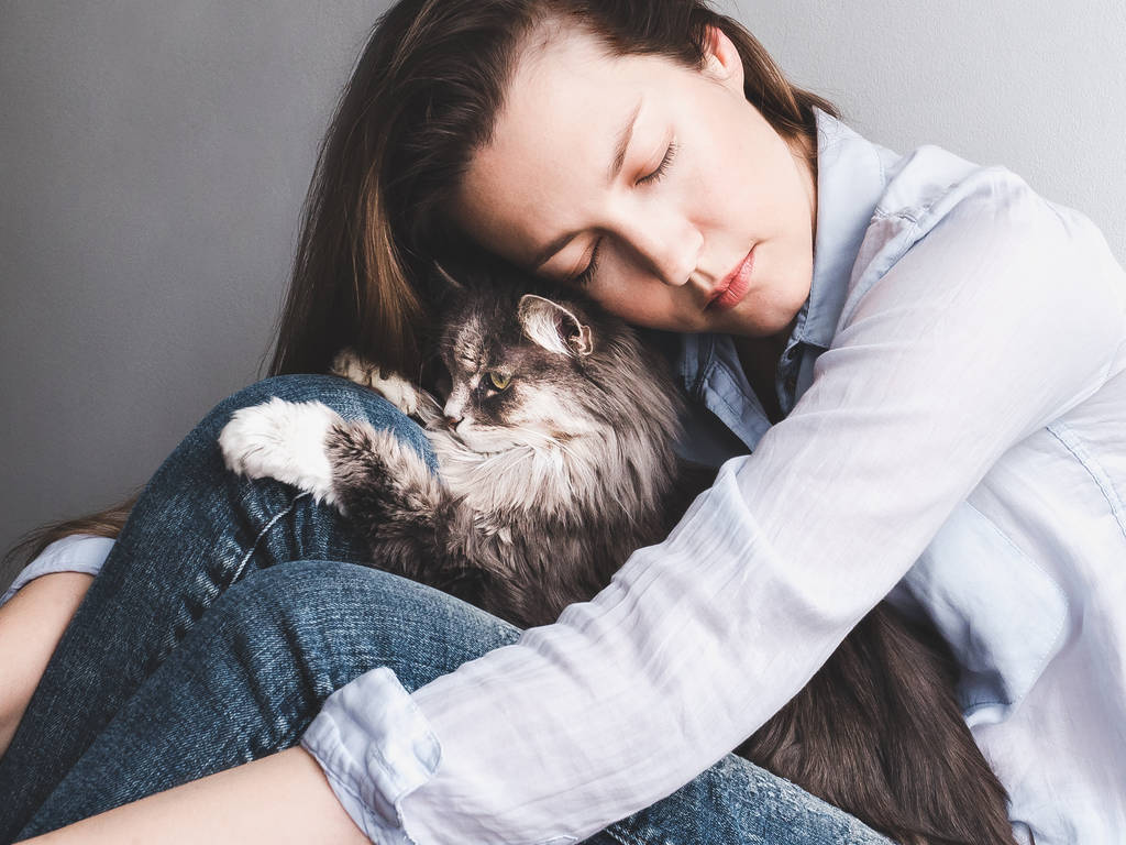 スタイリッシュな女性優しく抱き締める子猫 - 写真・画像