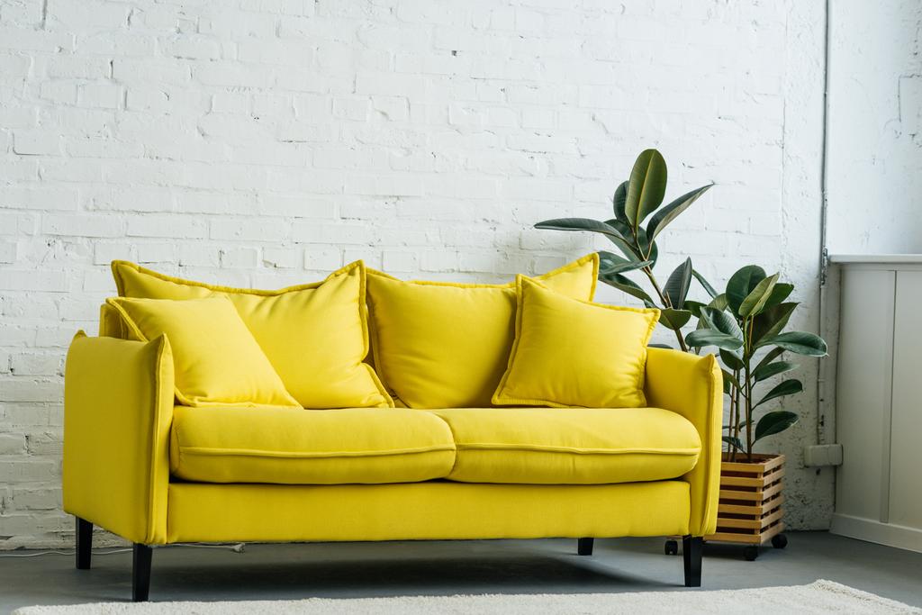 Moderni valoisa huone sisustus keltainen sohva
 - Valokuva, kuva
