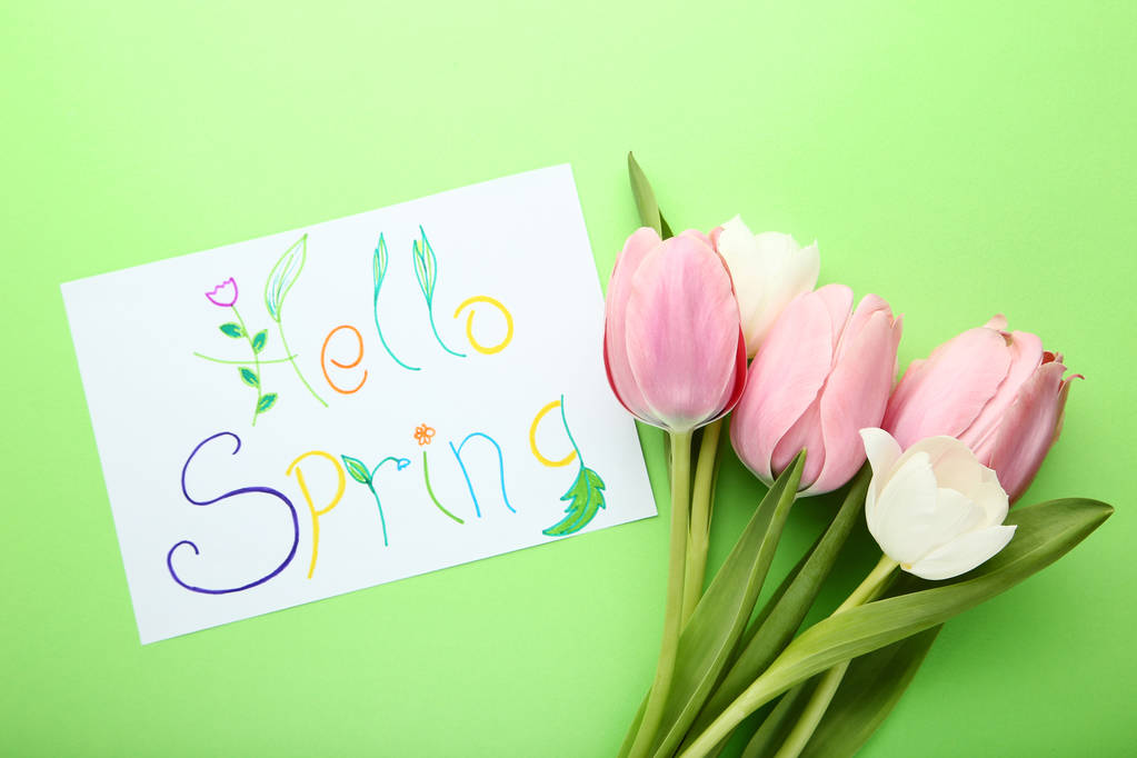 Inscription Hello Spring with tulips on green background - Photo, Image
