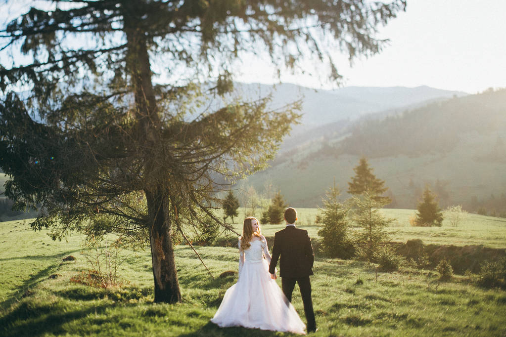 dağlarda poz yeni evli genç Çift - Fotoğraf, Görsel