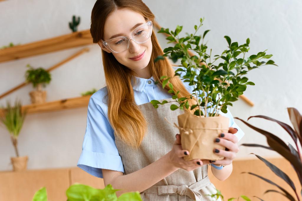 mooie jonge bloemist bedrijf groene kamerplant in bloemenwinkel glimlachen - Foto, afbeelding