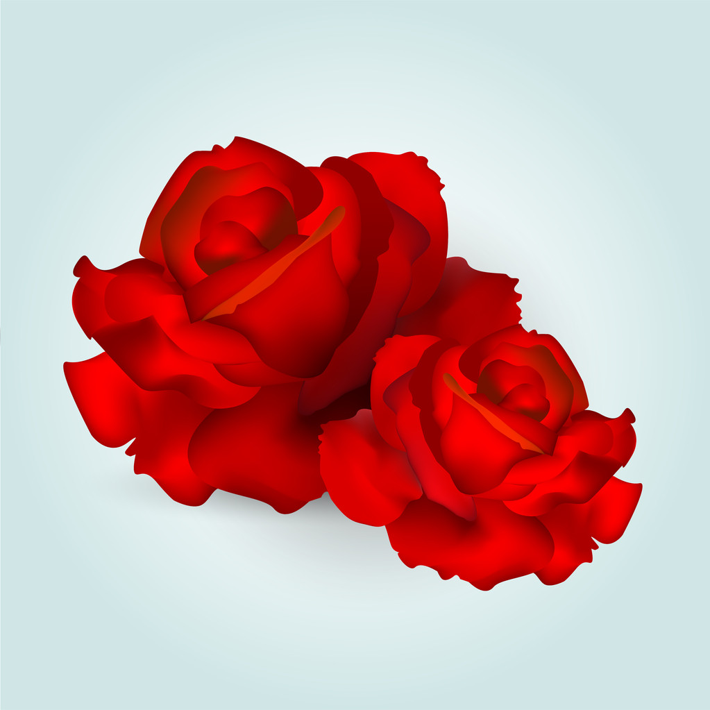 Roses vectorielles. Illustration vectorielle
. - Vecteur, image