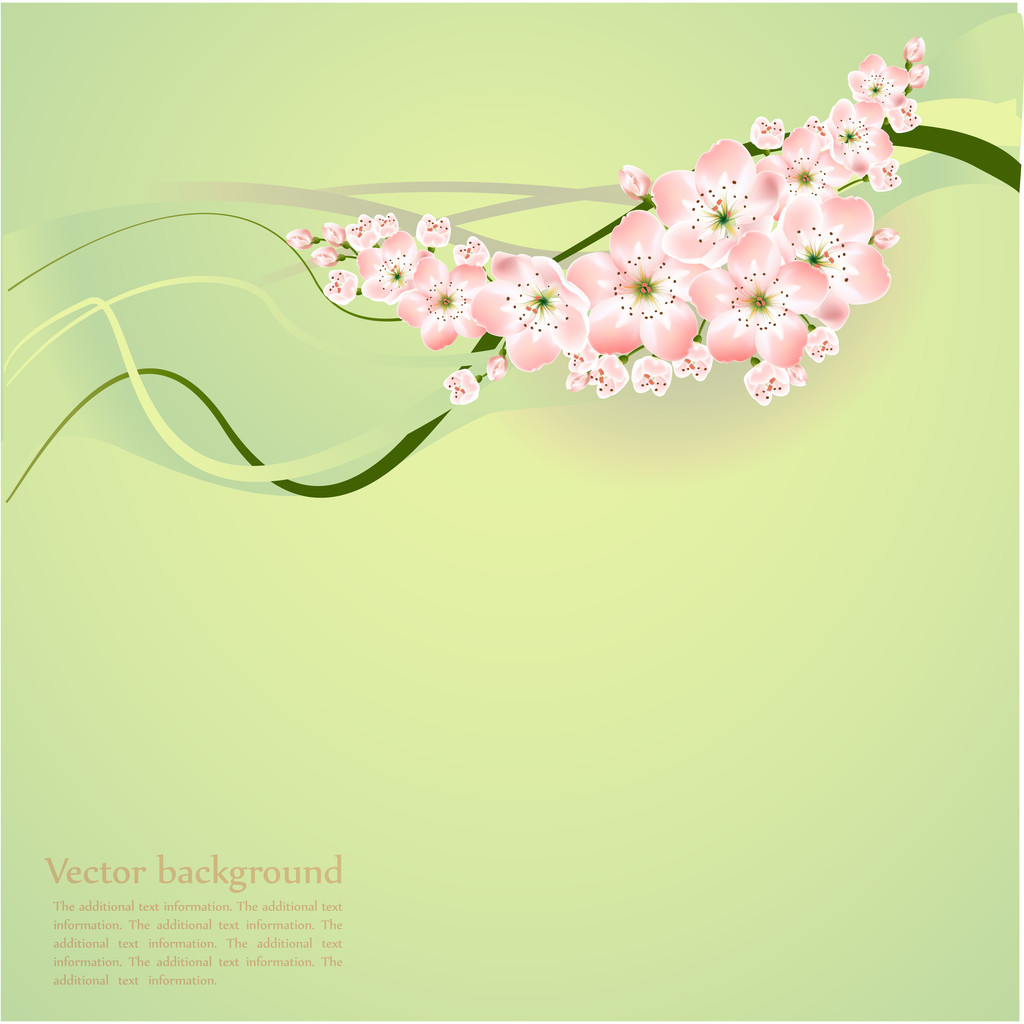 Весенний фон с весенними цветами - векторная иллюстрация
 - Вектор,изображение