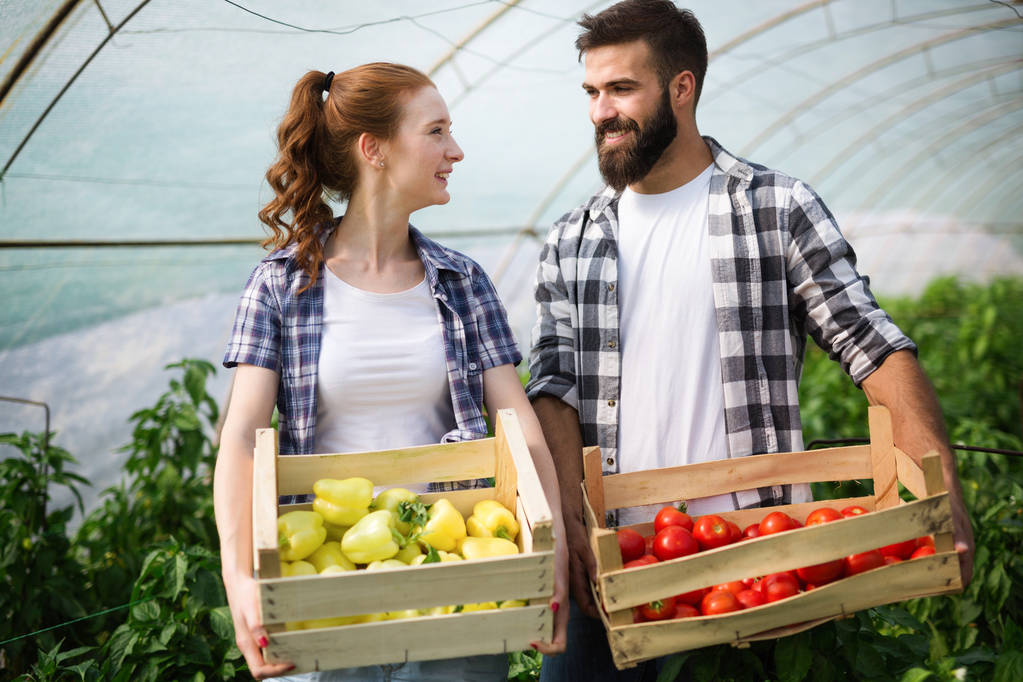 温室で働いている若い幸せなカップルの農家 - 写真・画像