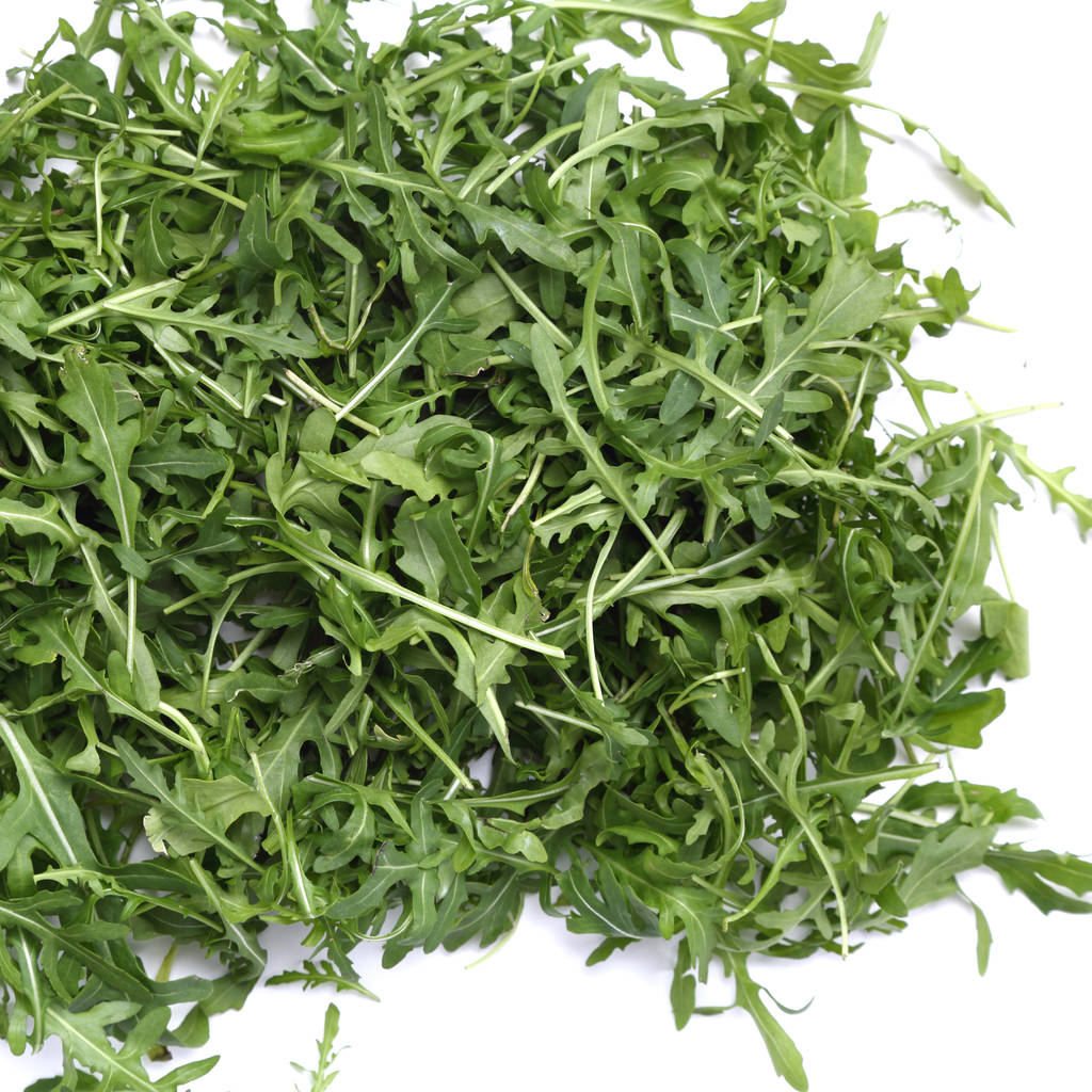 Organic green and fresh arugula (rucola or rukola) - Photo, Image