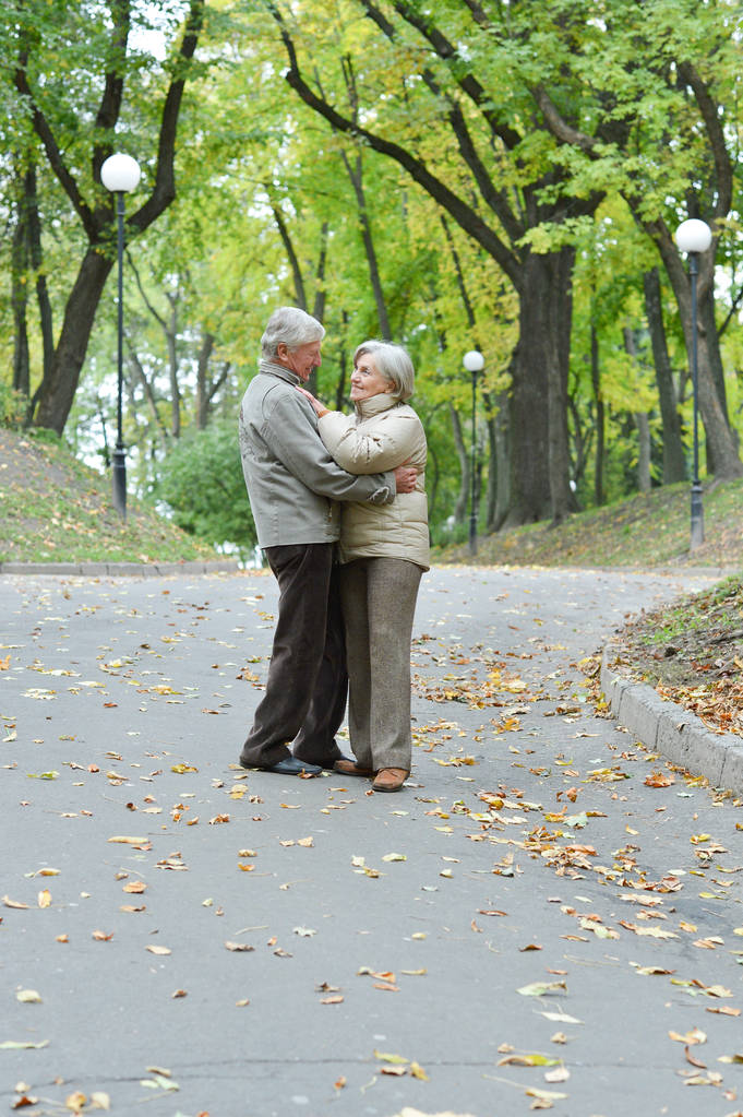 ritratto di una bella coppia di anziani caucasici che balla nel parco  - Foto, immagini