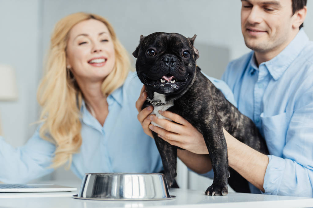 Mann umarmt französische Bulldogge auf Küchentisch von blonder Freundin - Foto, Bild