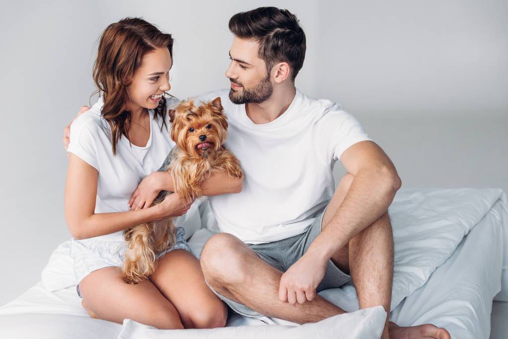 smiling couple in love with yorkshire terrier resting on bed together isolated on grey - Photo, Image