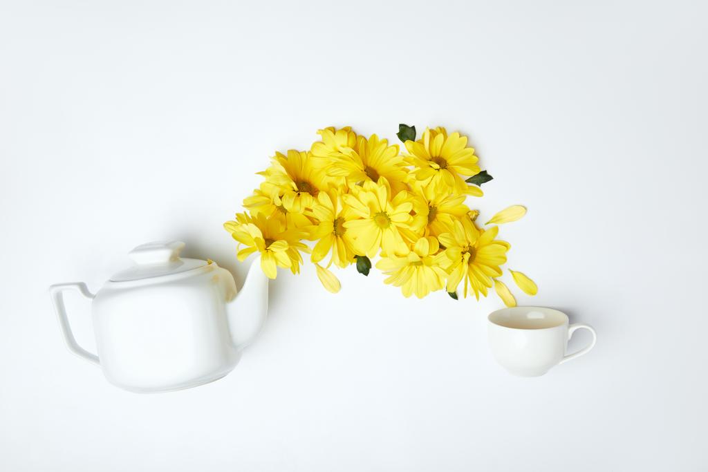 Versare crisantemi gialli da teiera bianca in tazza isolata su bianco
 - Foto, immagini