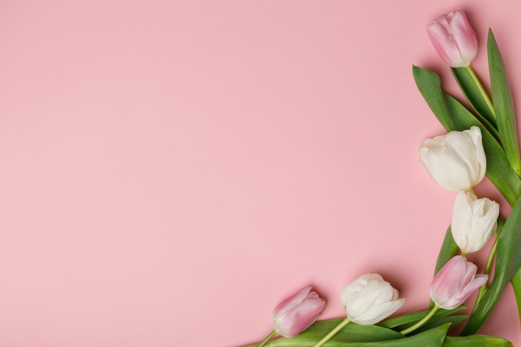 Нежные пружинные тюльпаны
 - Фото, изображение