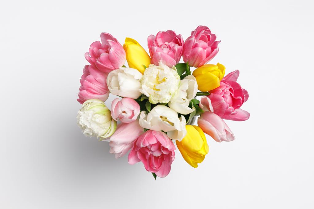Inschrijving lente tulp bloemen geïsoleerd op wit - Foto, afbeelding