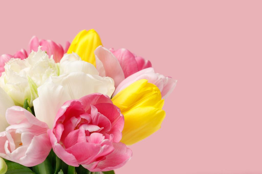 Tulpen - Foto, Bild