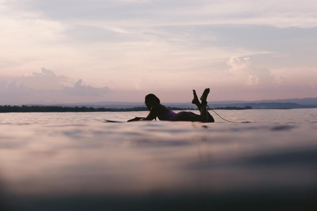prancha de surf
 - Foto, Imagem