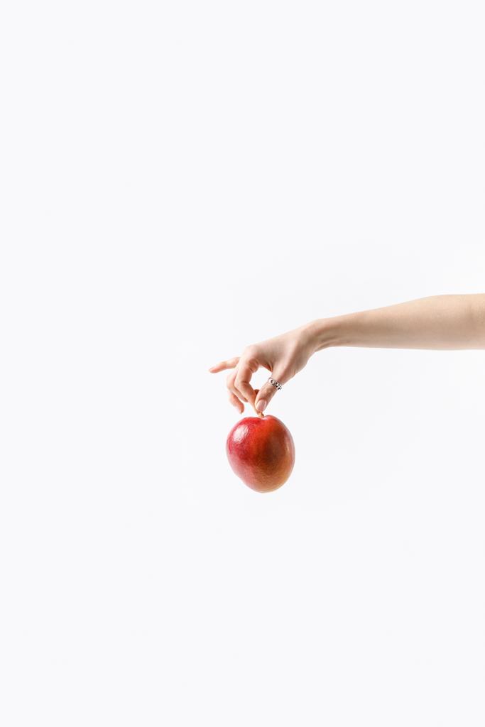 abgeschnittene Aufnahme einer Frau, die Mangofrüchte in der Hand hält, isoliert auf weißem Grund - Foto, Bild