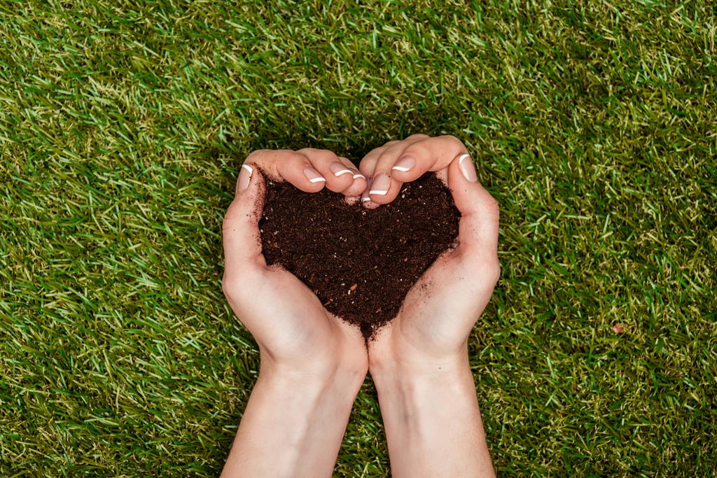 przycięte zdjęcie kobiety gospodarstwa gleby w kształcie serca w ręce nad zielona trawa, Ziemia dzień koncepcji - Zdjęcie, obraz