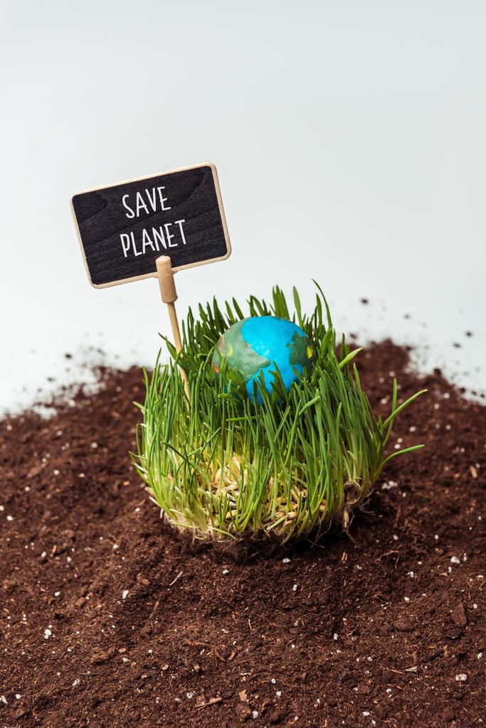 Sämling mit Erdmodell und Zeichen retten Planeten auf Boden isoliert auf weißem, Earth Day-Konzept - Foto, Bild