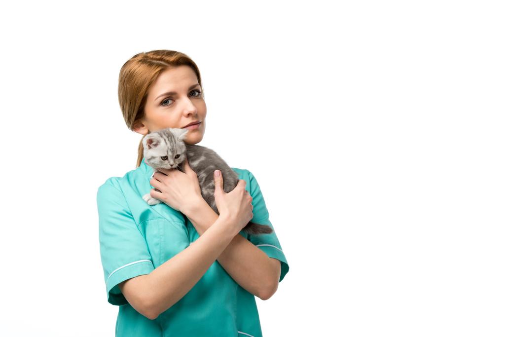serious veterinarian holding cute little kitten and looking at camera isolated on white  - Photo, Image