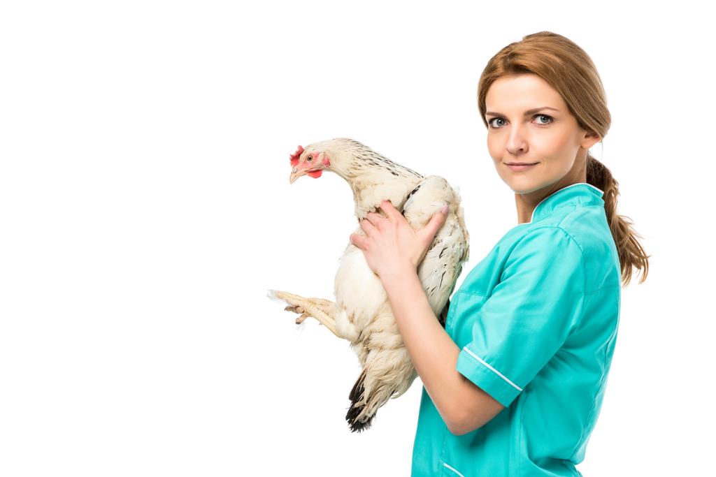 visão lateral do veterinário em uniforme segurando frango isolado no branco
 - Foto, Imagem