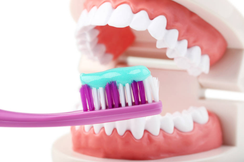 Modèle de dents avec brosse à dents et dentifrice
 - Photo, image