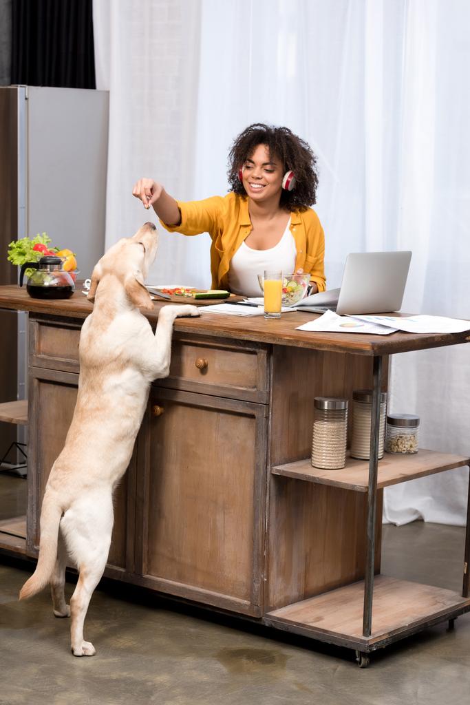 šťastná mladá žena pracovat doma v kuchyni a krmení psa - Fotografie, Obrázek