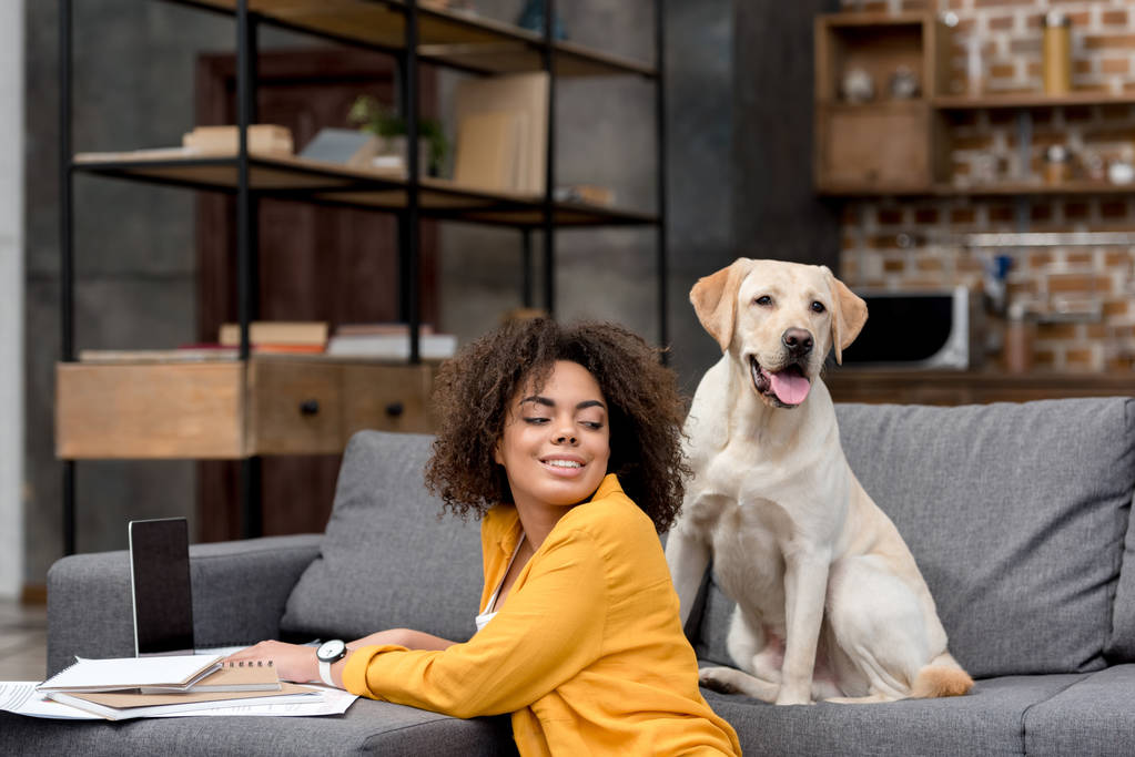 schöne junge Frau arbeitet zu Hause mit Laptop, während ihr Hund auf der Couch sitzt - Foto, Bild