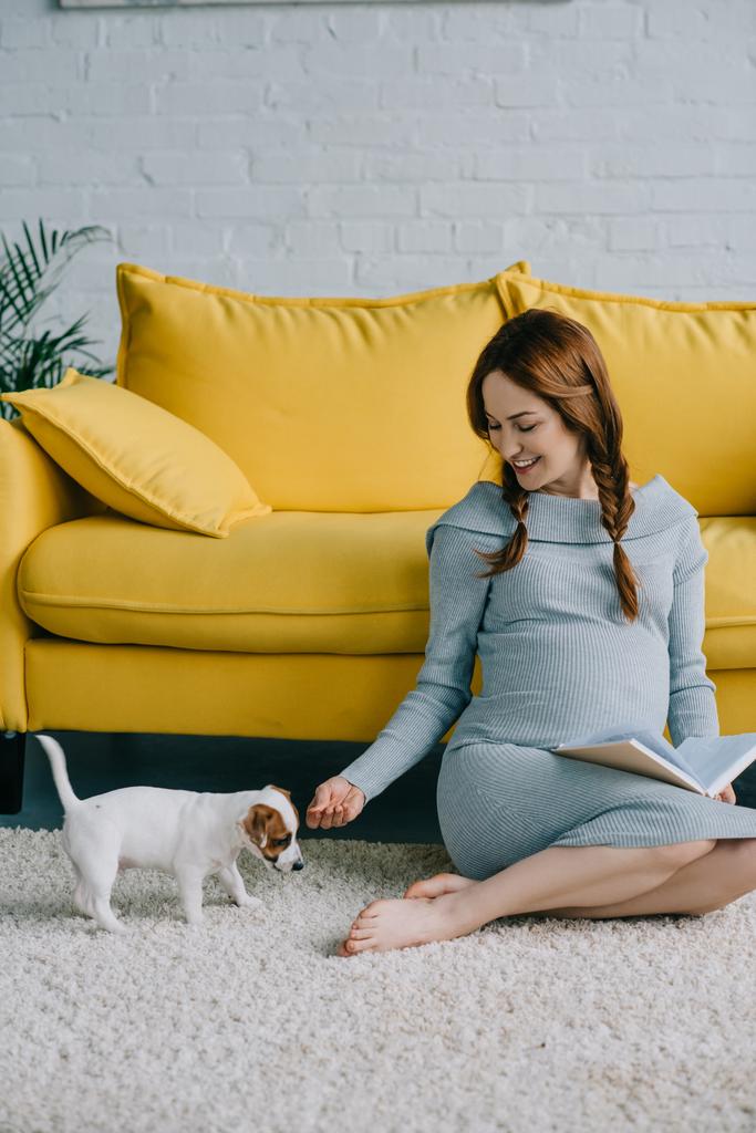 smiling pregnant woman sitting on floor with jack russell terrier - Photo, Image