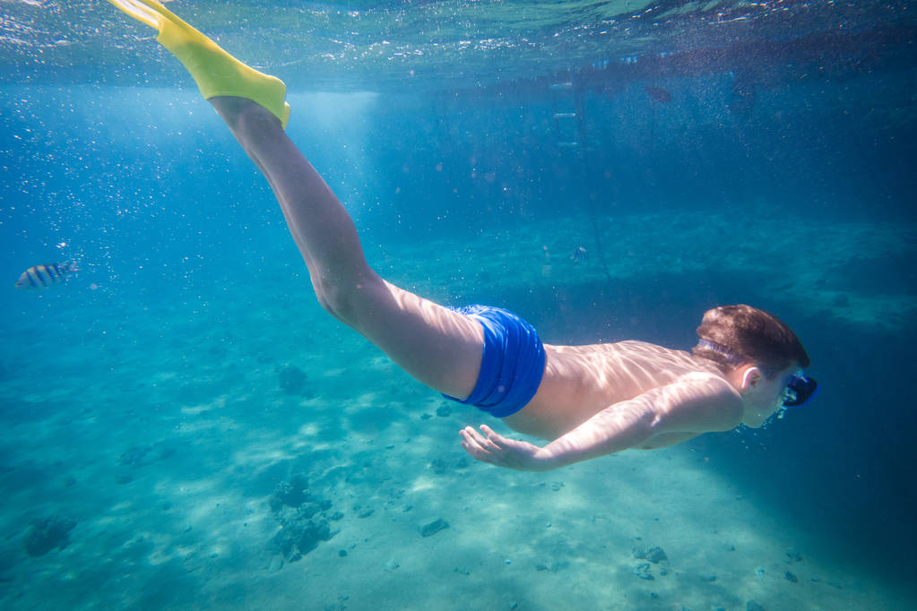 少年ダイビング紅海はポンツーンの近く - 写真・画像