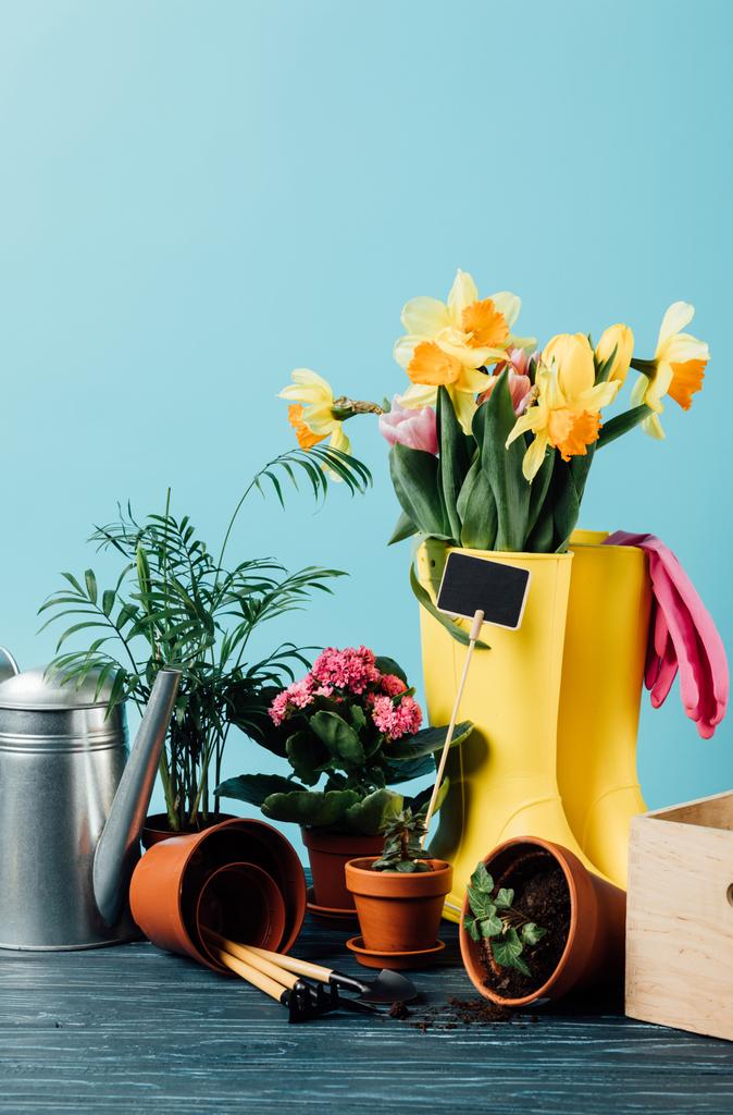 закрытый вид упорядоченных резиновых сапог с цветами, цветочными горшками, садовыми инструментами и поливочными банками на деревянном столе на голубом
 - Фото, изображение