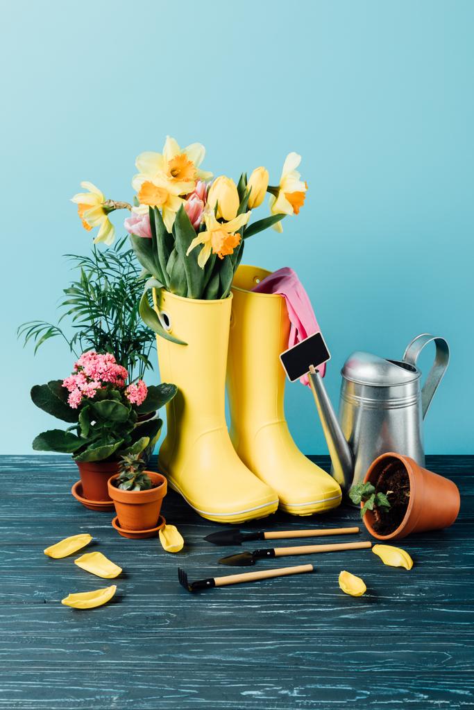 Close-up van gearrangeerde rubber laarzen met bloemen, gieter, bloempotten en tuingereedschap op houten tafelblad op blauw - Foto, afbeelding