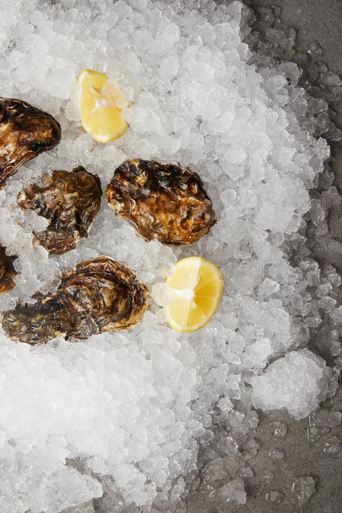 Delikatesse frische Austern mit Zitronen auf Eis gekühlt - Foto, Bild