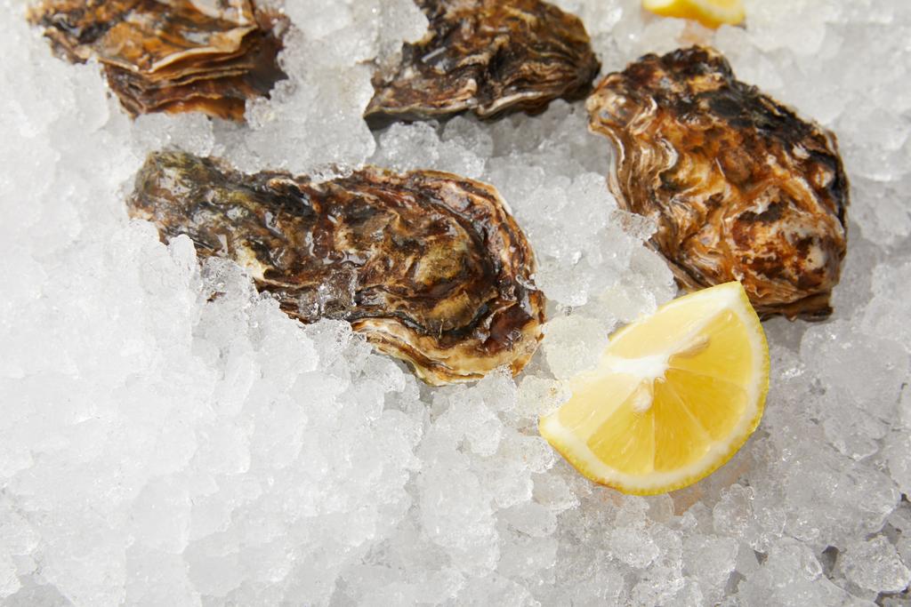 Gekoelde oesters gekoeld op ijs met citroen  - Foto, afbeelding