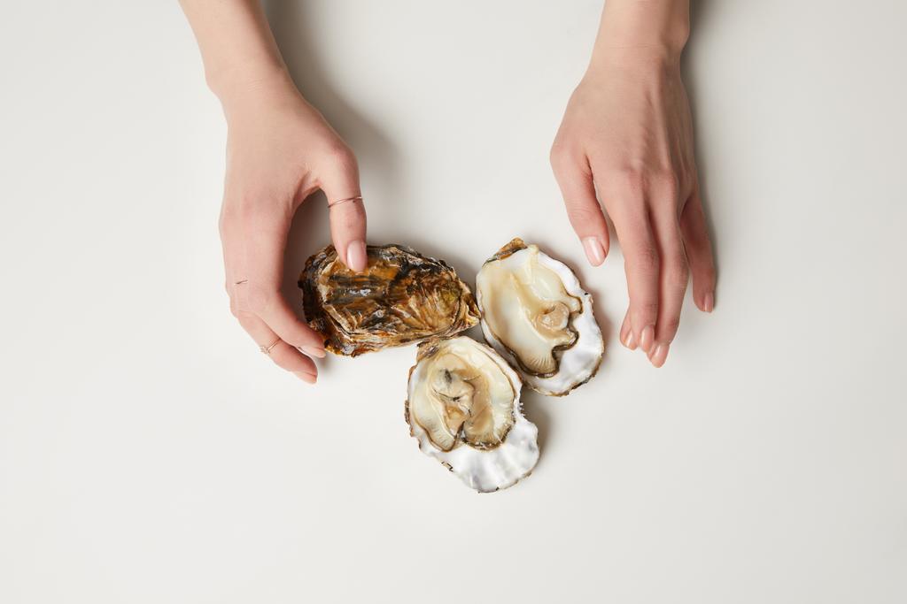 女性の手、白いテーブルに新鮮な牡蠣 - 写真・画像