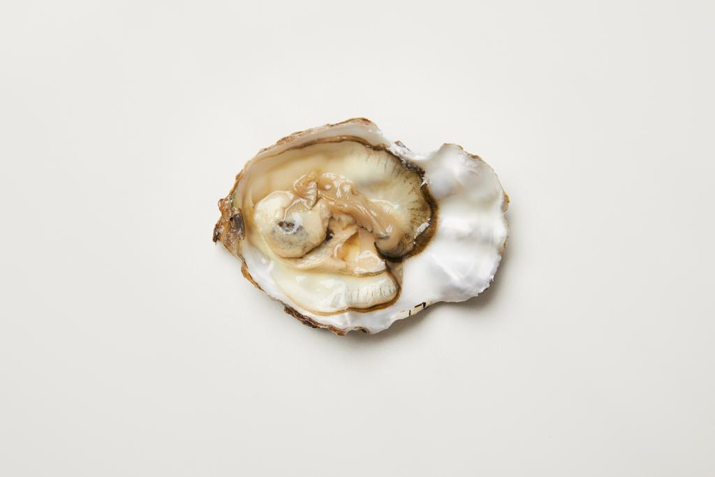 Відкритий свіжий устричний молюск ізольований на білому
 - Фото, зображення